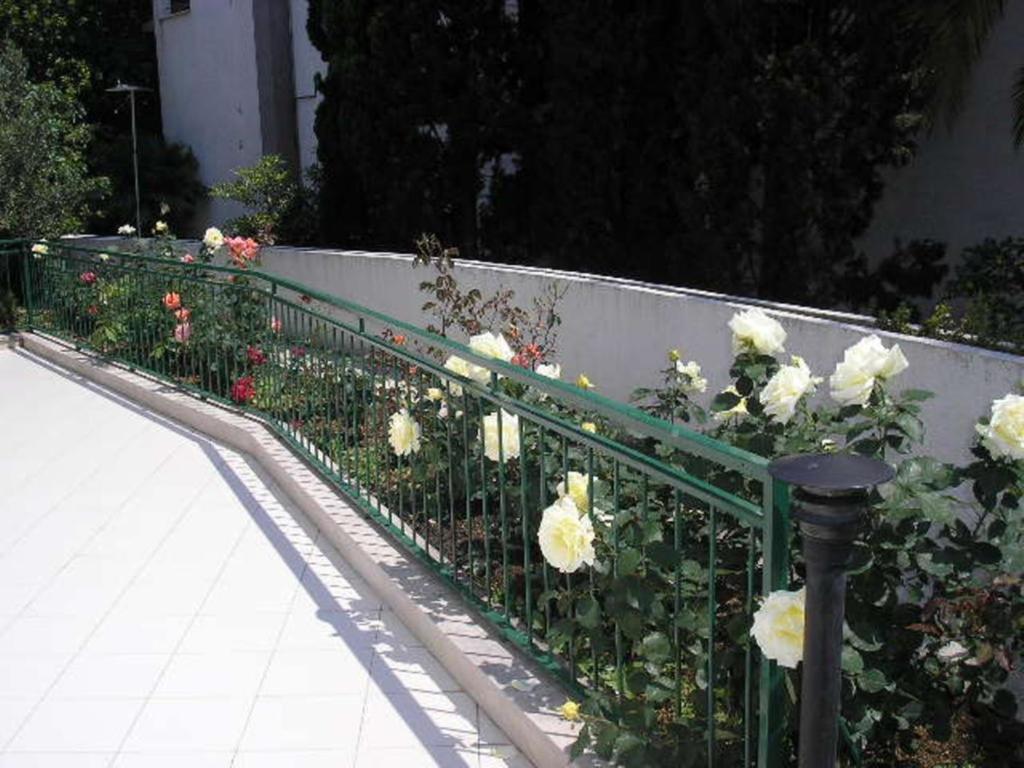 Pino Apartma